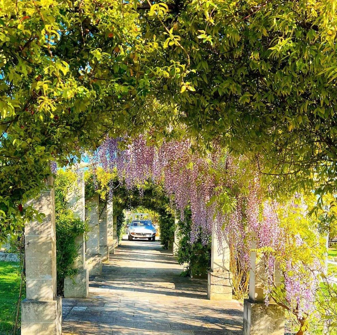 Masseria Vittoria Акайя Екстер'єр фото